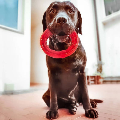 Ferplast Kauspielzeug Für Hunde Smile Groß