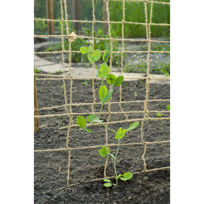 Nature Ranknetz Für Kletterpflanzen Jute Natur