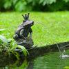 Ubbink Wasserspeier Froschkönig Natur