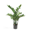 Emerald Kunstpflanze Zamioculcas Glücksfeder