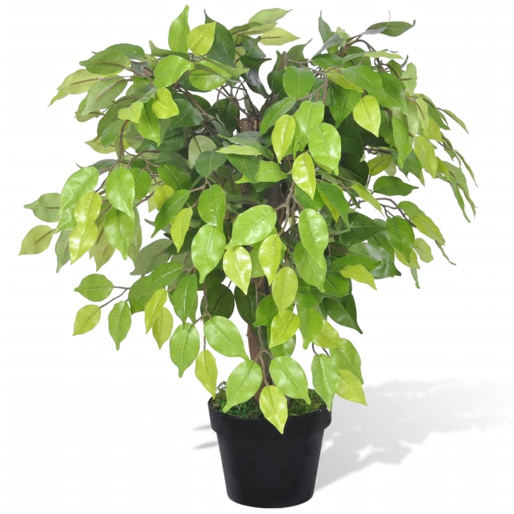 Künstlicher Zwerg-Ficus Mit Topf