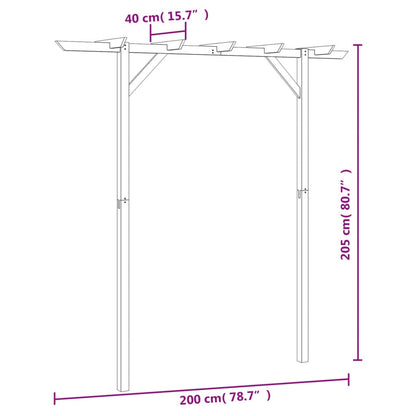 Gartenpergola 205X40X203 Cm Holz