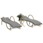 Sonnenliegen 2 Stk. Mit Tisch Poly Rattan