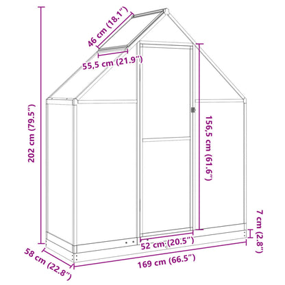 Gewächshaus Mit Fundamentrahmen N 169X58X202Cm Aluminimum